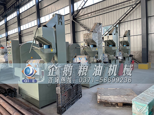 �Ͳ�ե�ͻ�